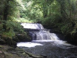Tours Clare Glens - Occasion Cars