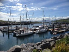 Tours around Dingle - Occasion Cars
